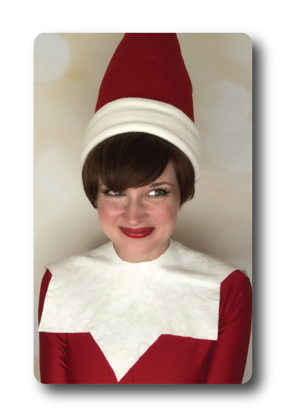Elf on the Shelf character costume