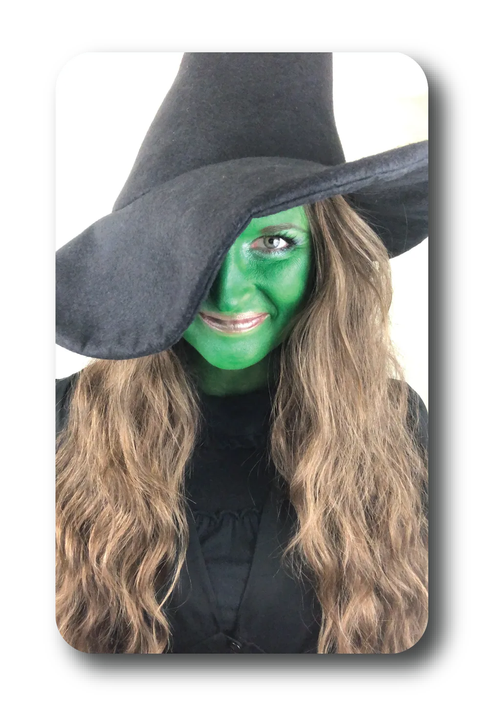 Wicked Witch character costume