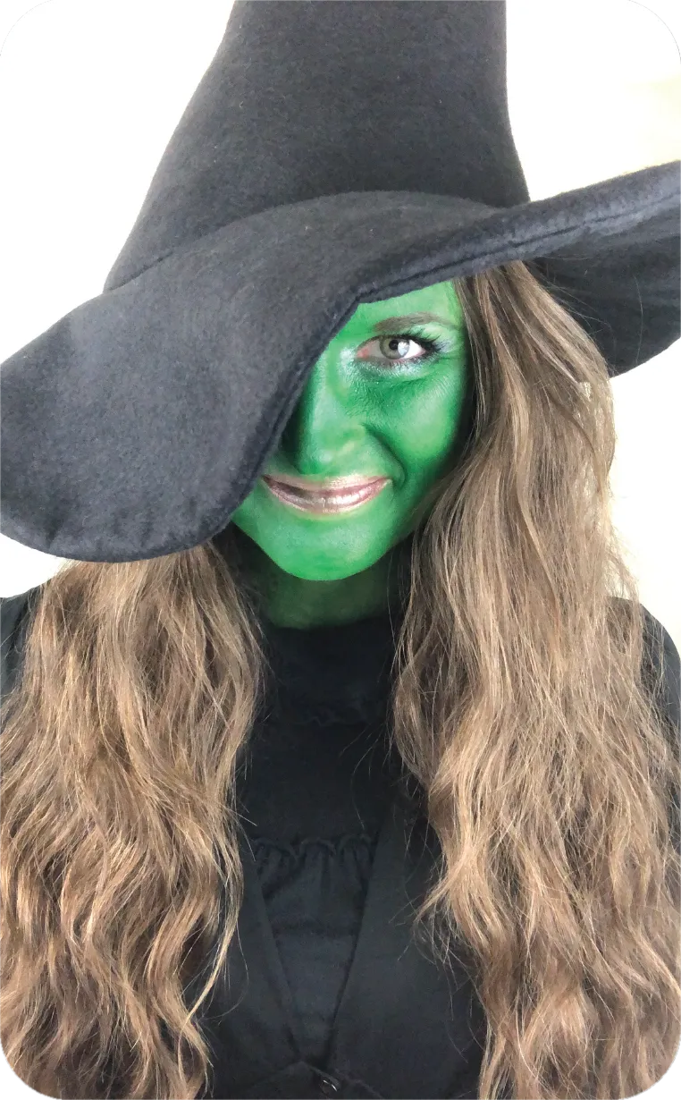 Wicked Witch character costume